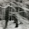 MaYaK9 – Image 4