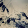 MaYaK9 – Image 2