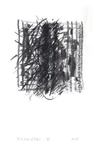 Christoph Bruneel, Permaculture VI, (M5)